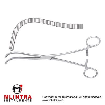 Guyon Kidney Pedicle Clamp Curved Stainless Steel, 24 cm - 9 1/2"